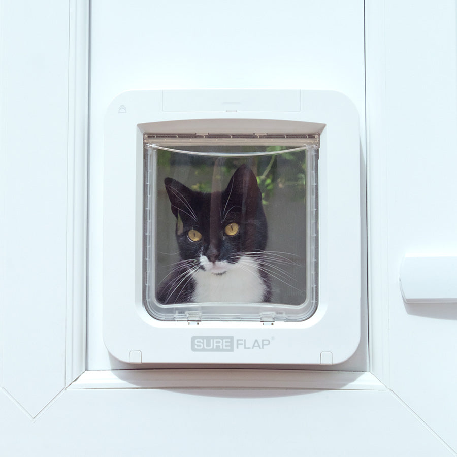SureFlap Smart Microchip Pet Door for Cats & Small Dogs – White