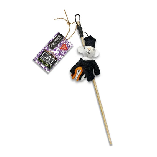 Archibald Mouse Teaser Eco Cat Toy with Catnip