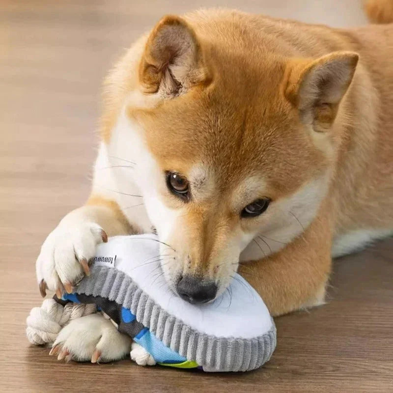 Squeaky slipper with sturdy cotton rope – dental care & fun for dogs